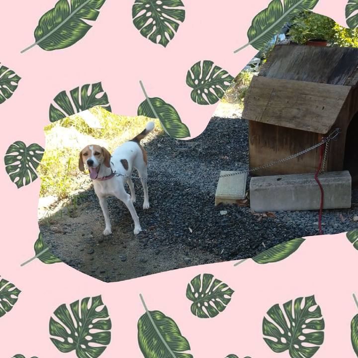 C4e2daae b5ec 490b 92c3 57eef3598868 1596174696129