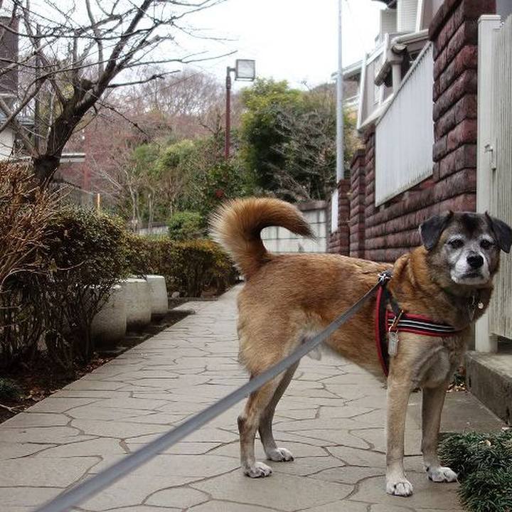 C4e2f65f 477d 48e1 bc70 c4708fc5ecc8 1515373467249