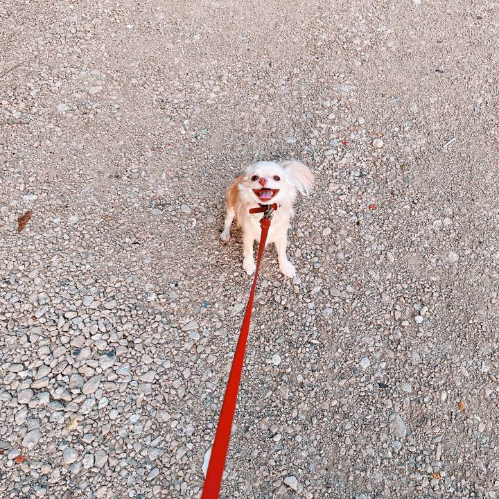 C4e2f6af 7bc9 4243 92a3 0e41513f660e 1659488998065