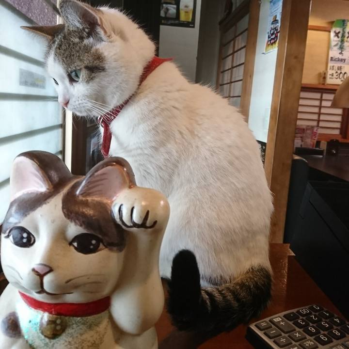 C4e310cc 48d6 4816 93df 9064a767b797 1539409708190