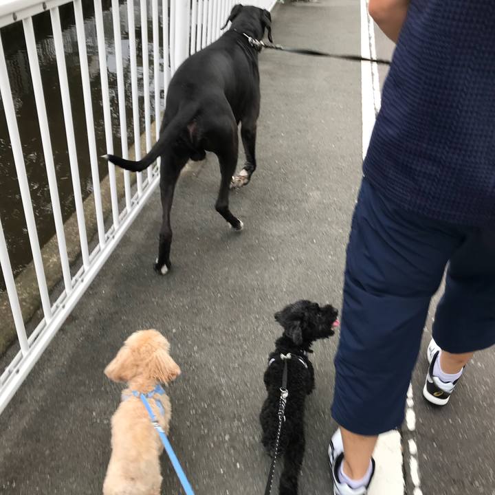 C4e31565 2c38 48a2 aa90 9eee59adf88e 1534198838101