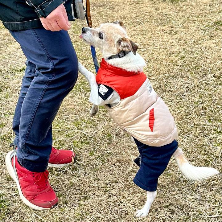 C4e33a19 3c6b 4301 90f6 883b633e2838 1708162812510