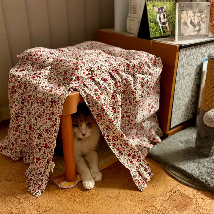 C4e34b88 382b 40f8 b716 7d56a505064e 1716982231693