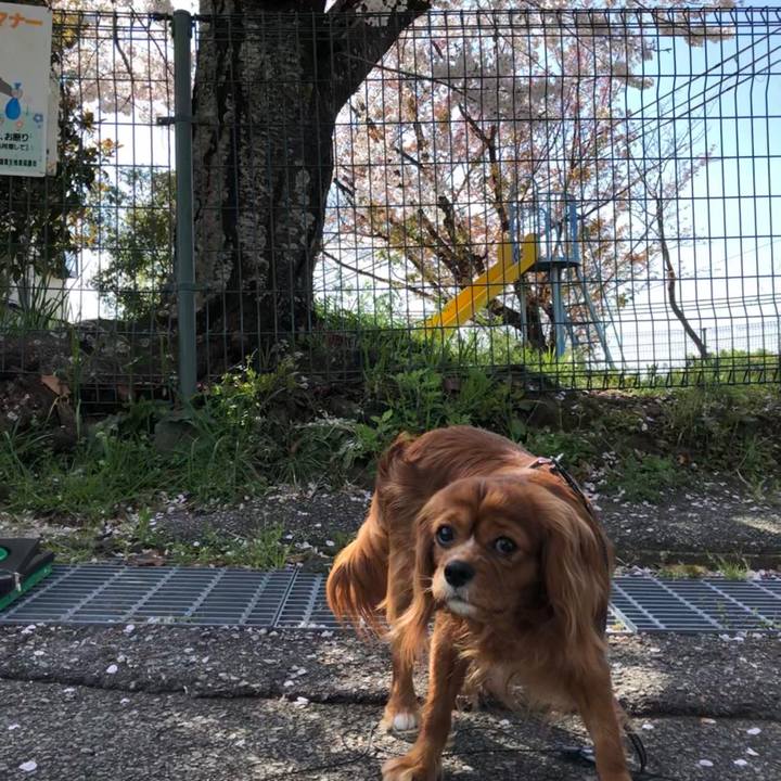 C4e36288 a643 4902 b623 ca0216e5eb6b 1586297275545