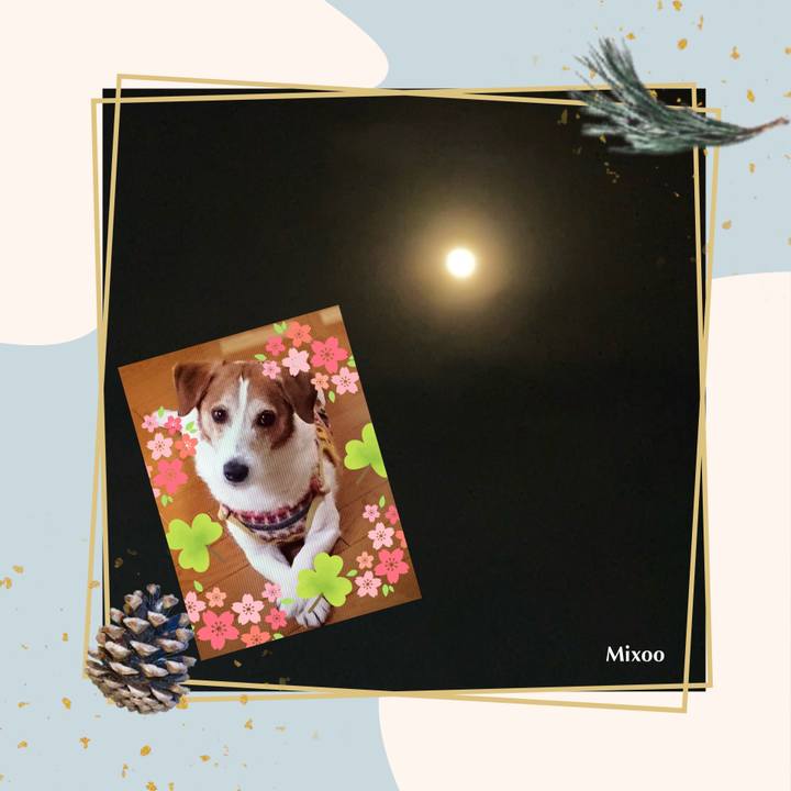 C4e362af 5d45 460b bacc 00a89839a14a 1747054039524