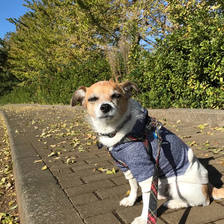 C4e3ec14 64d3 4401 b826 8f4e6c794618 1574310332094