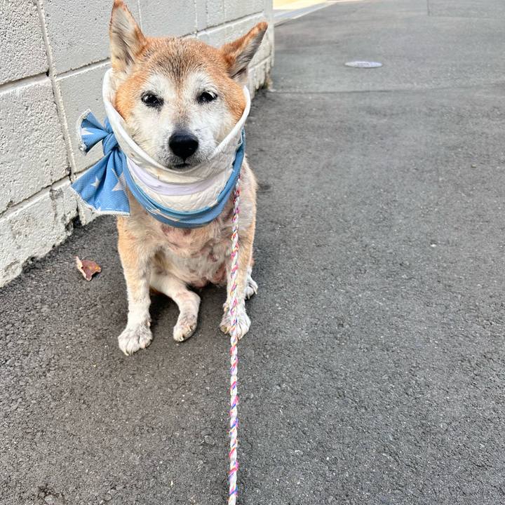 C4e3f6ac dbce 429b 8986 1d2e4444177c 1763699036923