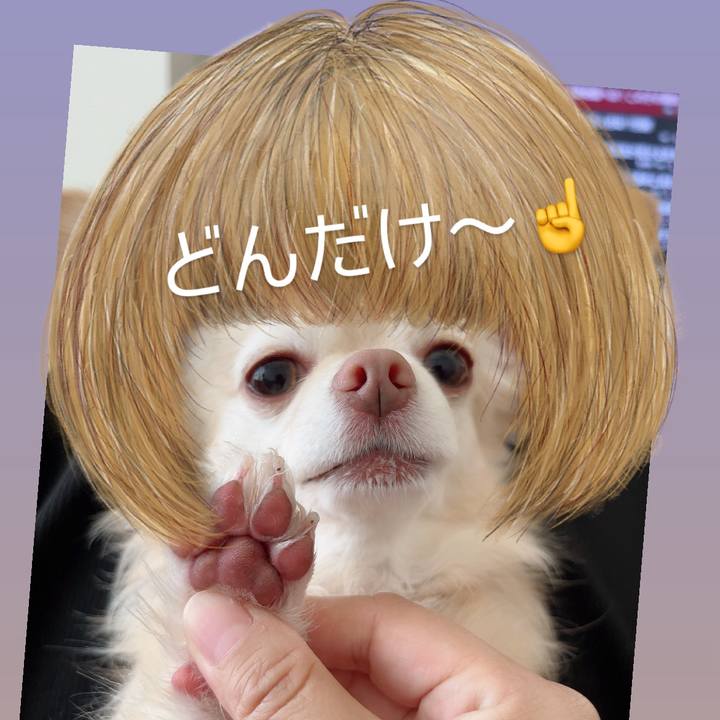 C4e49517 9ac1 4b37 813b 9f6b9655469d 1730287071602