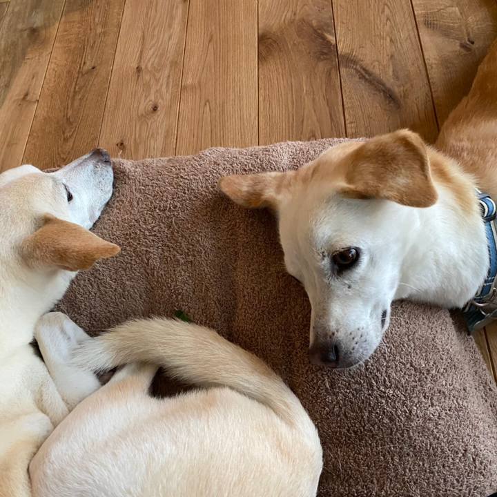 C4e4984a ef32 4d03 b07a b16d91111659 1631080020801