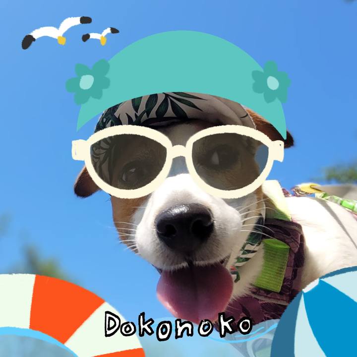 C4e4cfe1 a8d6 44e7 9024 93a5787cdf10 1723347588311