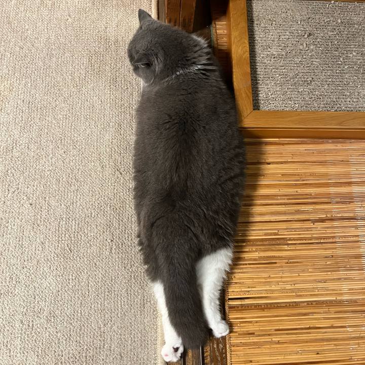 C4e51d18 4127 40fc a039 f6bbcb6c70a5 1720615083711