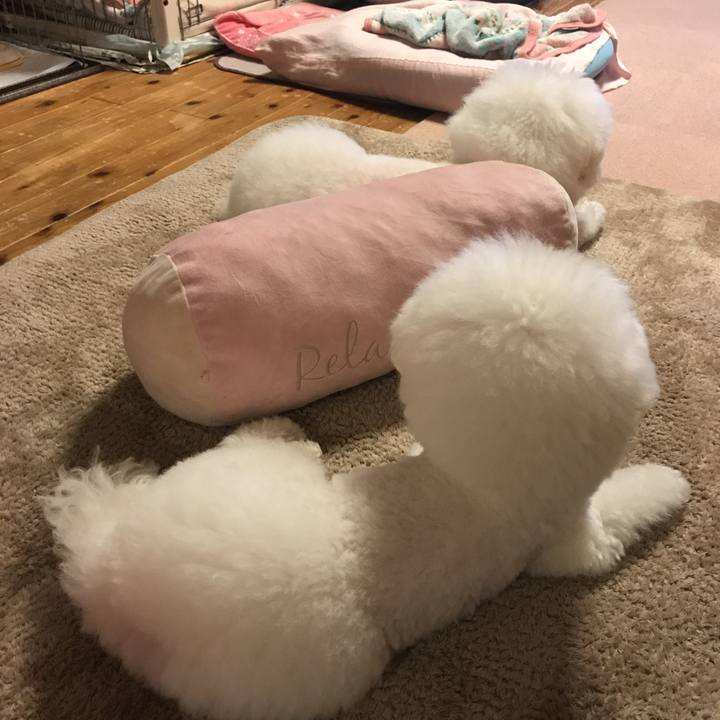 C4e544c5 3379 473d 8921 953222bcb02d 1583836183587