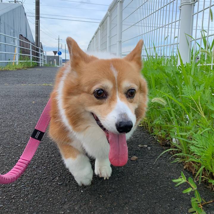 C4e54d30 1040 4601 9649 e21965cbd009 1721860359456