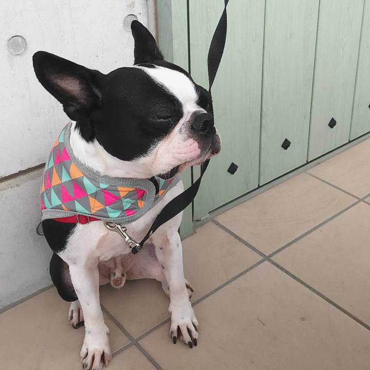 C4e55a91 53ae 416a b759 79cafedadc03 1545035736030