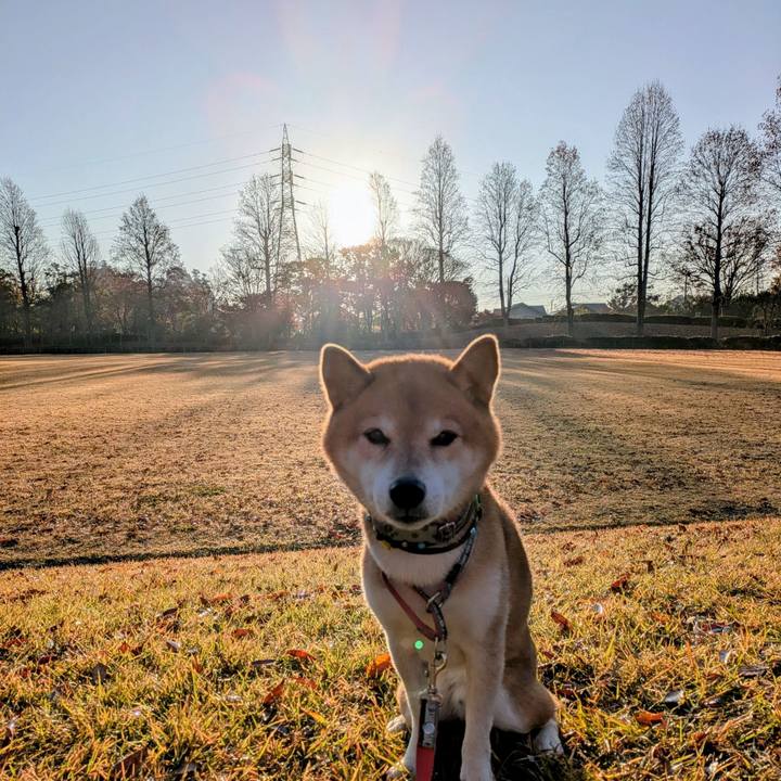 C4e573ad df59 4790 aebb 9229da4521c9 1764288506031