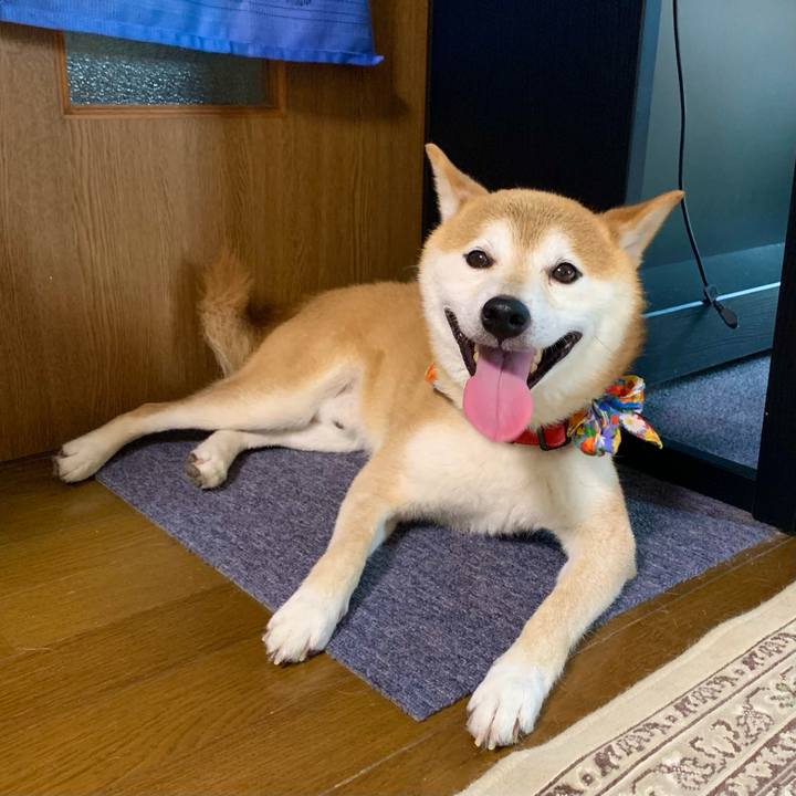 C4e581c9 e893 451d a785 c40ae0fba592 1627210906729