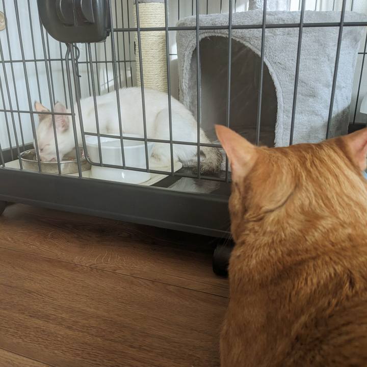 C4e5940f e8da 4a58 9185 b5da8f9efb85 1689670444173