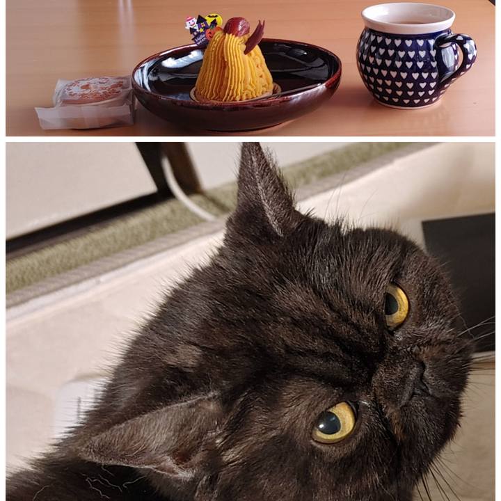 C4e5c90f 3b2b 43d2 b9ae 71339ad4db45 1666499136923