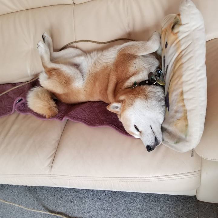 C4e5dea6 a4d2 4066 88cd 47606b516334 1653018755840