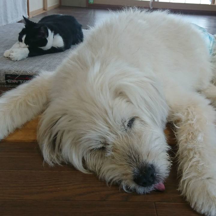 C4e5ebd9 251d 4559 8c1b 28a1abc18ebf 1598434289701