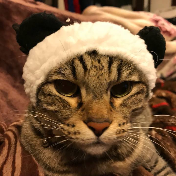 C4e61561 7ed5 4333 880e bbc7e44997f2 1514995676697