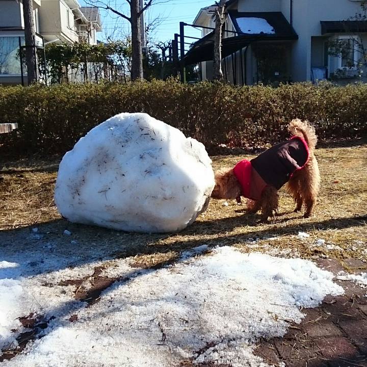 C4e624da ff37 4cec 8a34 3403a3f6b63d 1517918787645