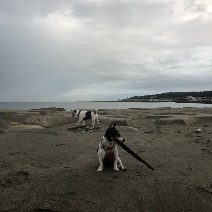 C4e62b8b a5db 4d31 be93 a61e3ce4a0f1 1543882745208