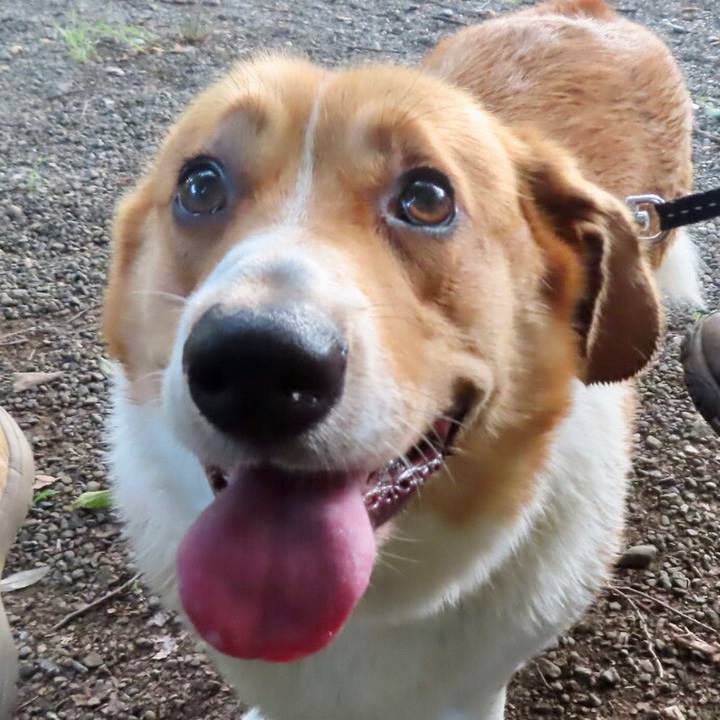 C4e648fb cdb9 49bb 9bd7 932dc88d7b07 1660361019613