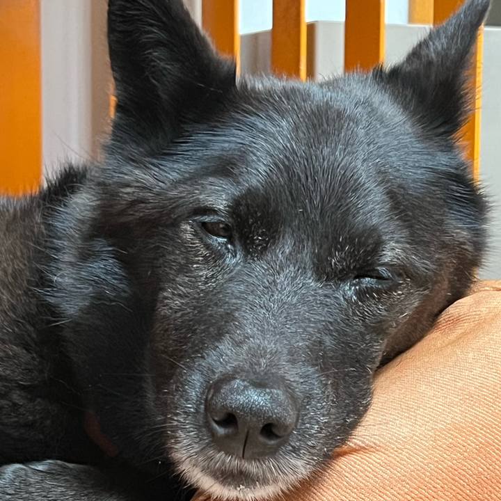 C4e65799 b3ee 43a9 aedd 9ede3016e8e5 1714178928226