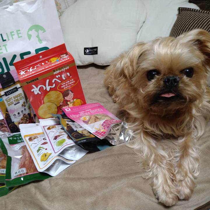 C4e6835d 2e16 44ba 9147 1dadca1e1e1c 1610029518172