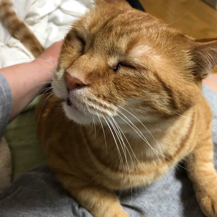 C4e6a941 8c3a 4004 9a12 96c7c46e19d0 1587998300901