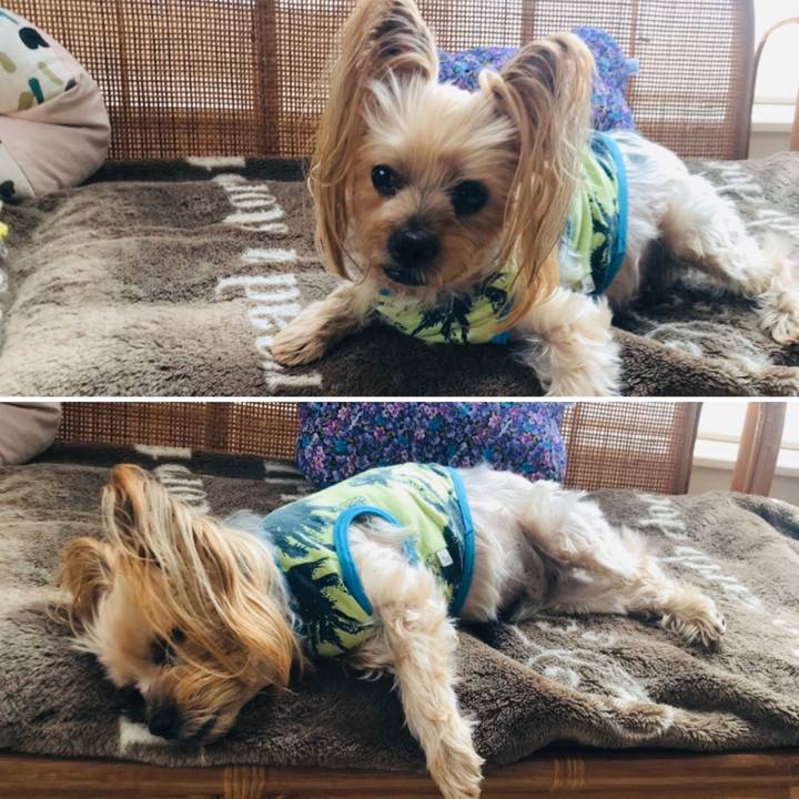 C4e73426 ce77 4ef2 a653 7cc4536dd348 1580893214523