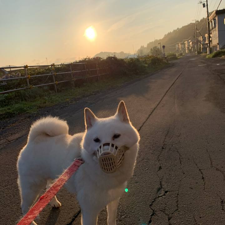 C4e797b2 821f 4179 9deb a28cd8561c5c 1600897158808