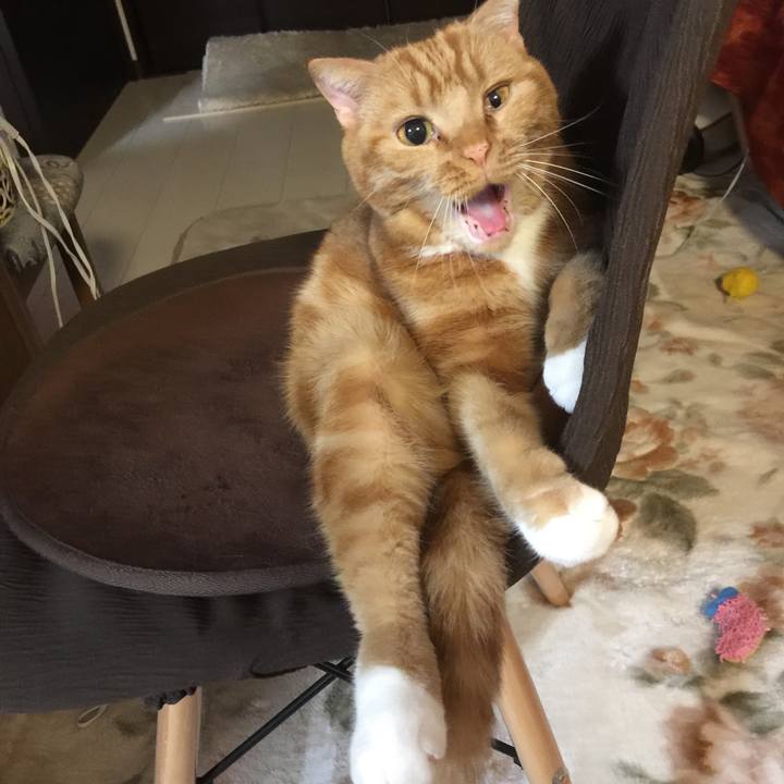 C4e7a2b7 4e6d 4672 a098 d845fe71f33e 1579423118808