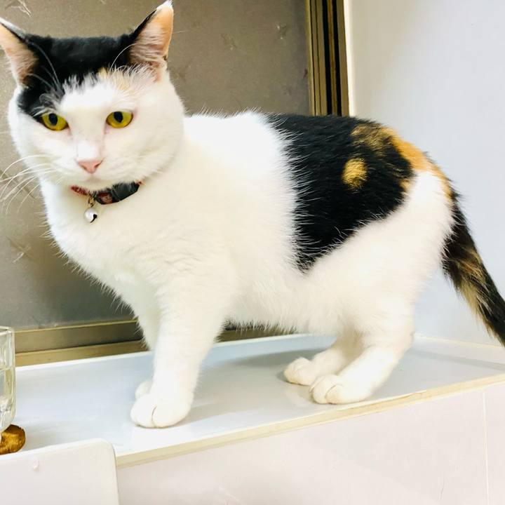 C4e7c8ae 1feb 4598 983d 412fa9c43c21 1688768570253