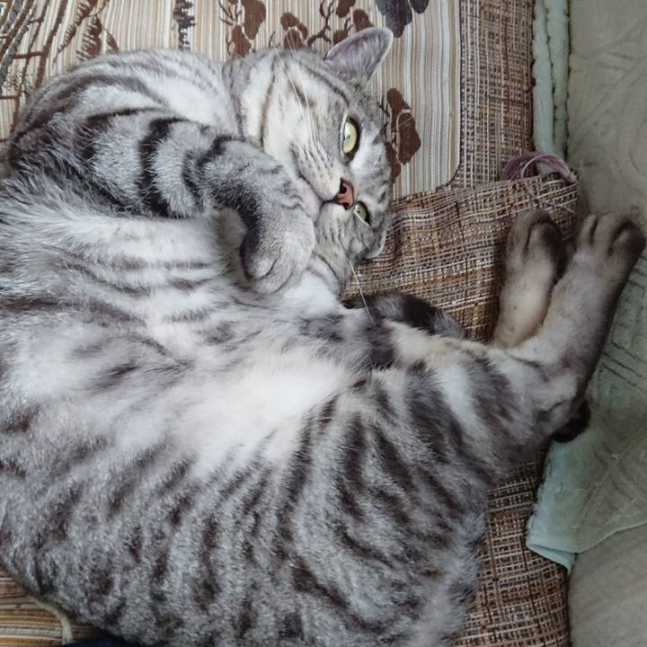 C4e7db4d c22c 4eee 8666 02f9e1c4a66c 1516063116082