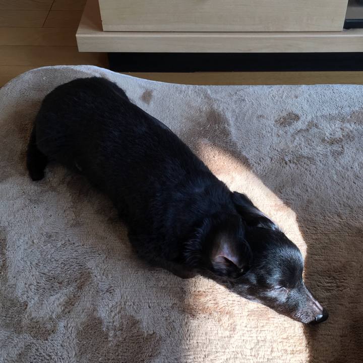 C4e865a6 7a80 4670 99b6 5a2b338192be 1522020533889