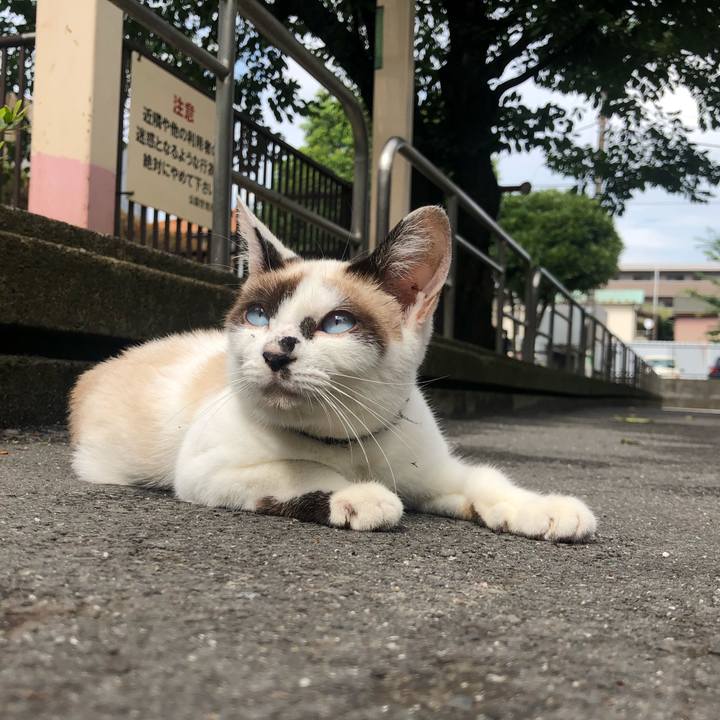 C4e8a010 bb3b 4dfd 9a91 5f17cdcf35c0 1594647729798