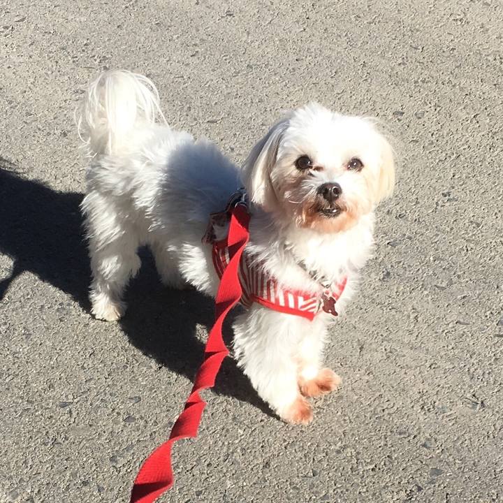 C4e90112 a711 4c93 9c13 0a4c20af7400 1512541297147