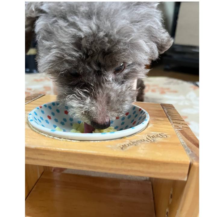 C4e98aea 153f 4e9e 8454 d1e86ce2d09f 1740040583037