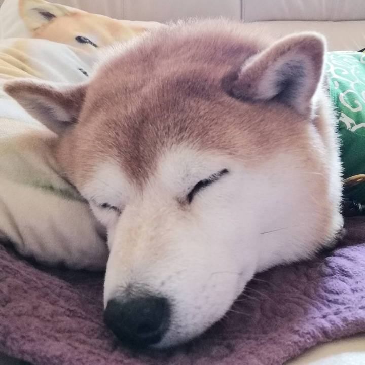 C4e9bdba ec5b 46b4 9425 5d5dd77ebf5b 1586423795234