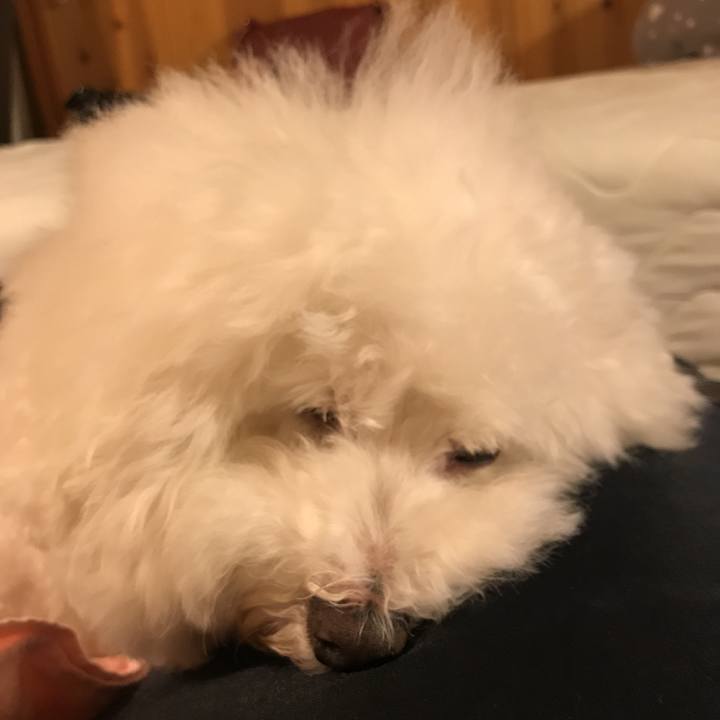 C4e9cf63 78ca 4b1f a484 6b79f0247f06 1536407639969