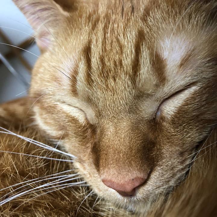 C4e9dd79 9aff 4754 9c7f 128ea3bc744f 1547896010783