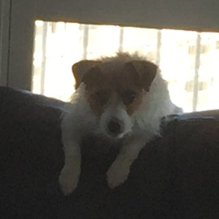 C4e9f2a0 b7a8 42db a1ce 5e58e9dbb3a9 1514378184800