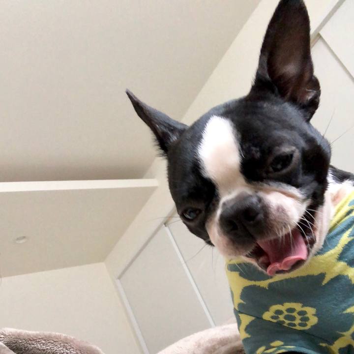 C4ea50fb 13a6 4f8b 891e b916880b6ba8 1517033996166