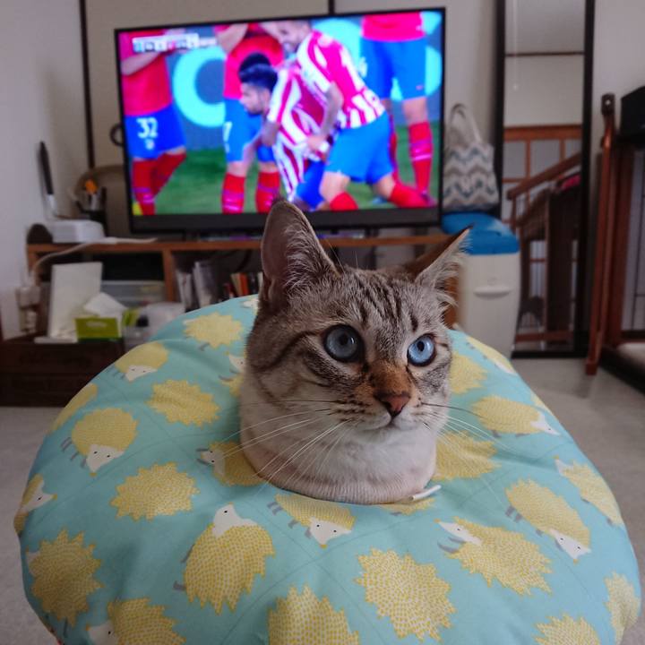 C4ea52f8 ecd1 40ad 92ec 48f1890b5692 1564190209139