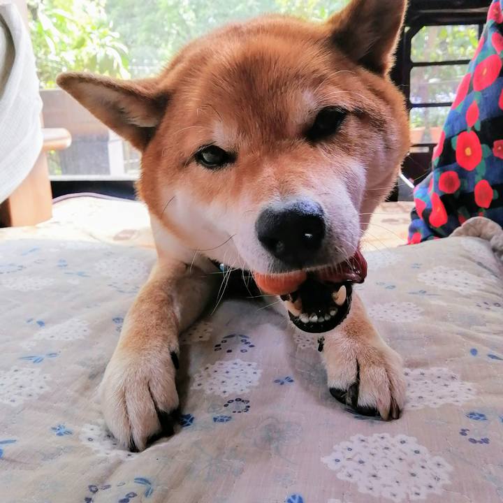 C4ea5f01 24c2 4458 ac53 bc34e9a26808 1587529408275