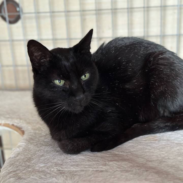 C4eabb12 3b3b 45c2 9961 ab243bda6794 1710382435261