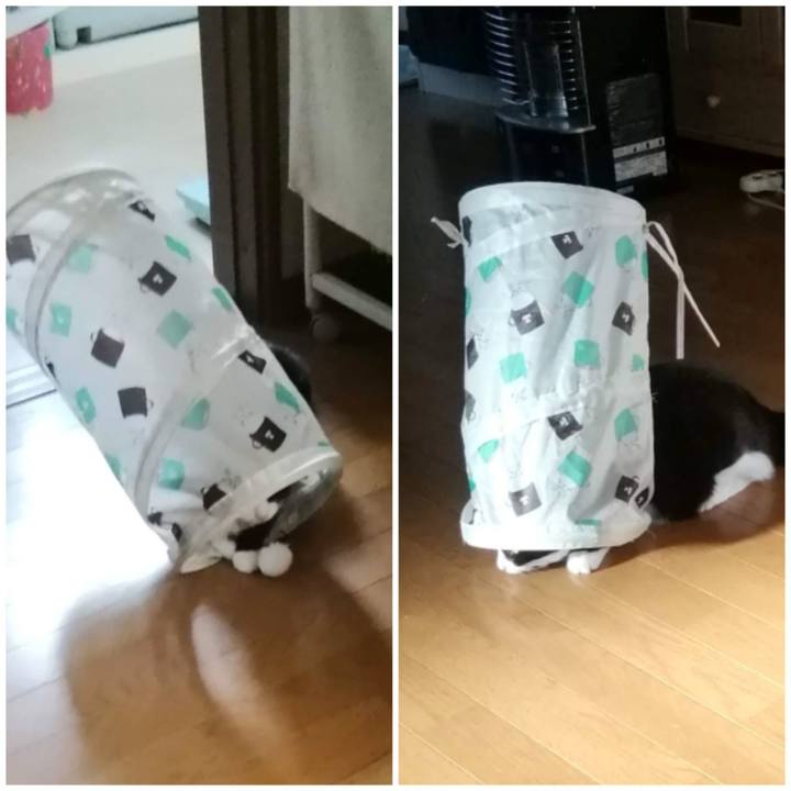 C4eae512 efd7 4dc2 8ab3 009ec73f21c7 1574257665446