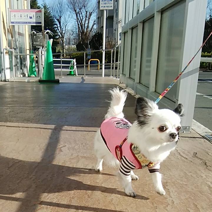 C4eaf620 456c 44c5 bf6c 8625fee0f0bf 1514555574146